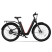 NIU BQi-C3 Pro Electric Bike