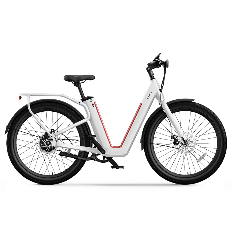 NIU BQi-C3 Pro Electric Bike